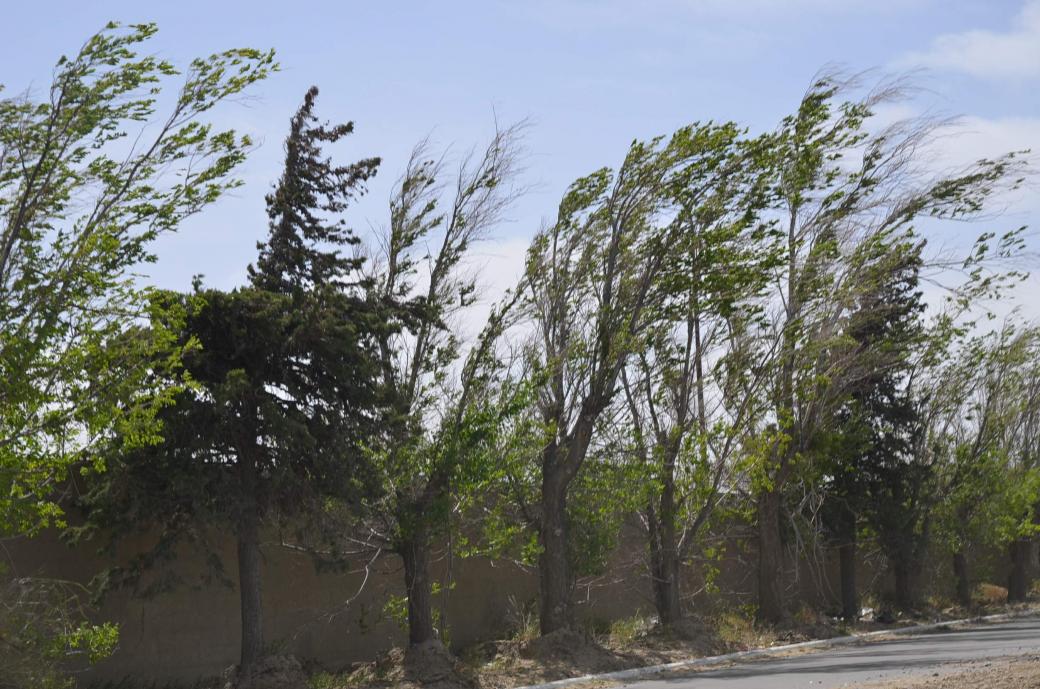 Alerta Protecci N Civil Rachas De Viento Pueden Superar Los Km H