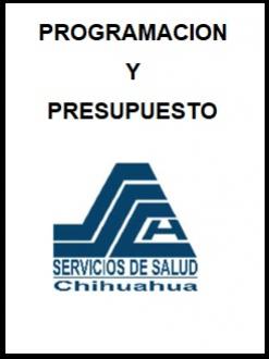 Programaci N Y Presupuesto Portal Gubernamental Del Estado De Chihuahua