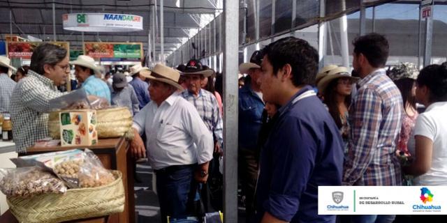 Expo