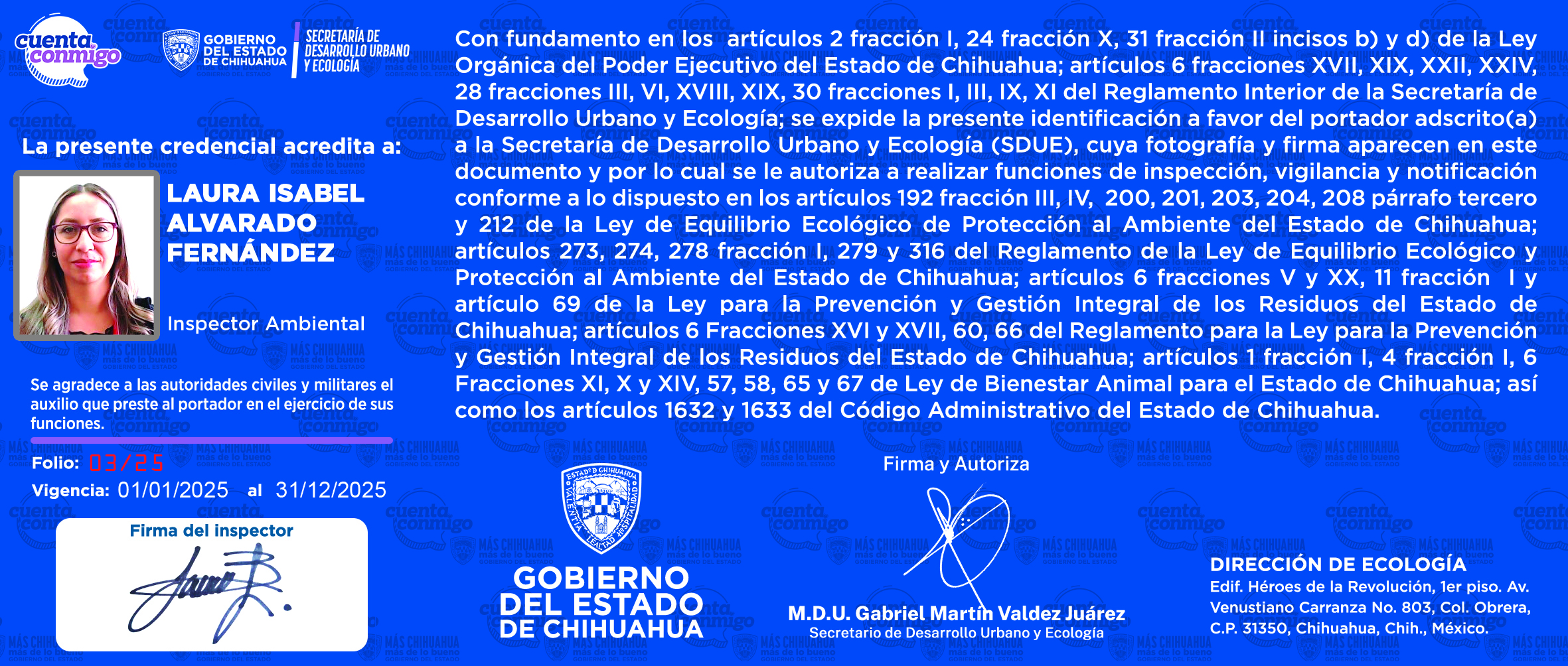 Laura Isabel Alvarado Fernández