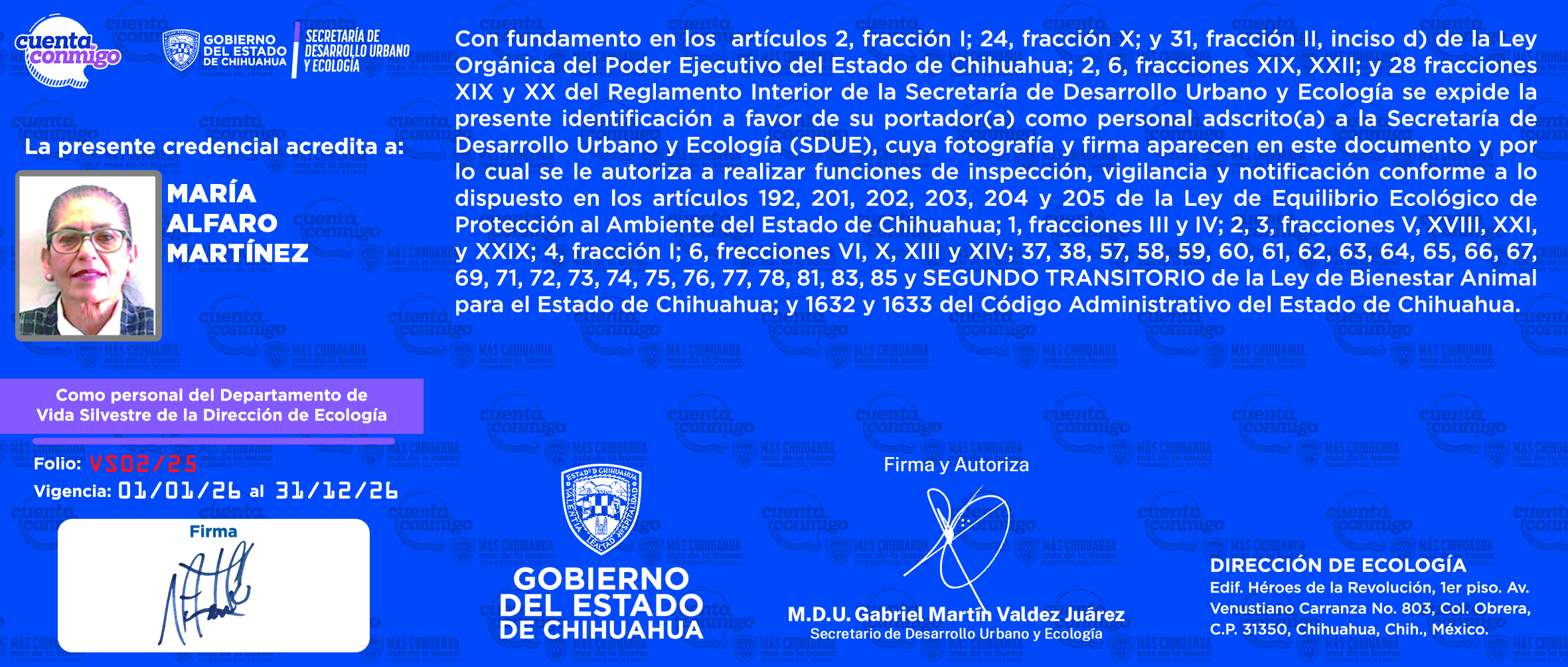 María Alfaro Martínez