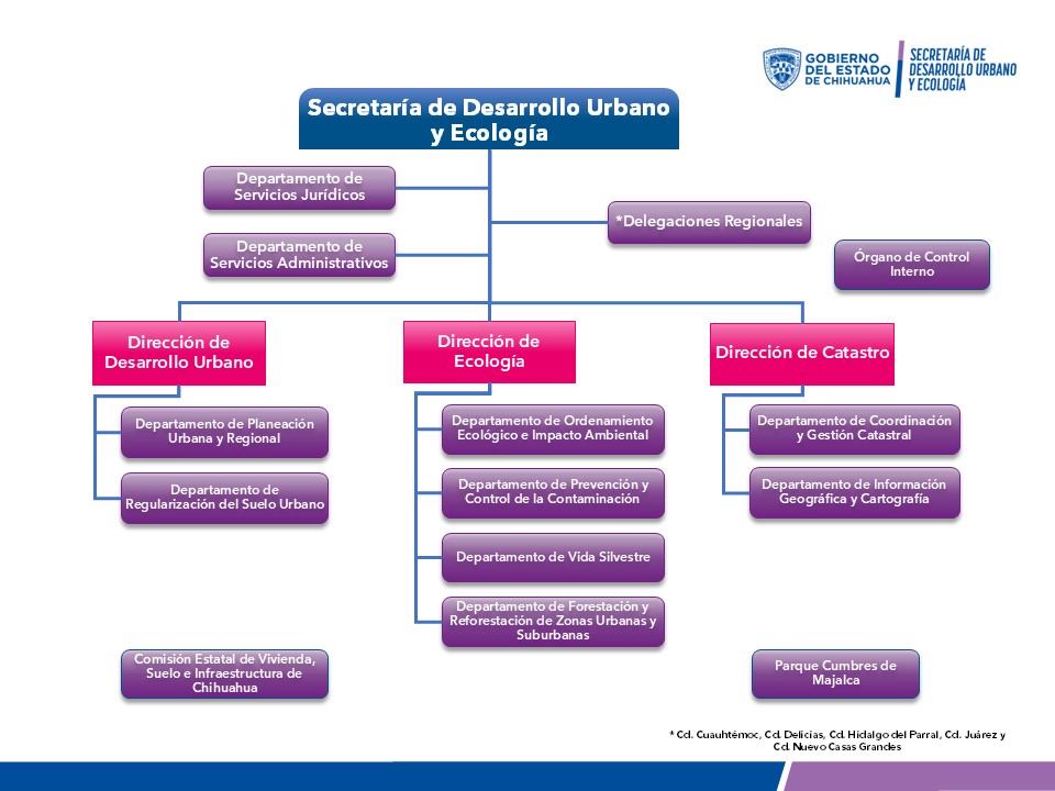 Organigrama de la SDUE