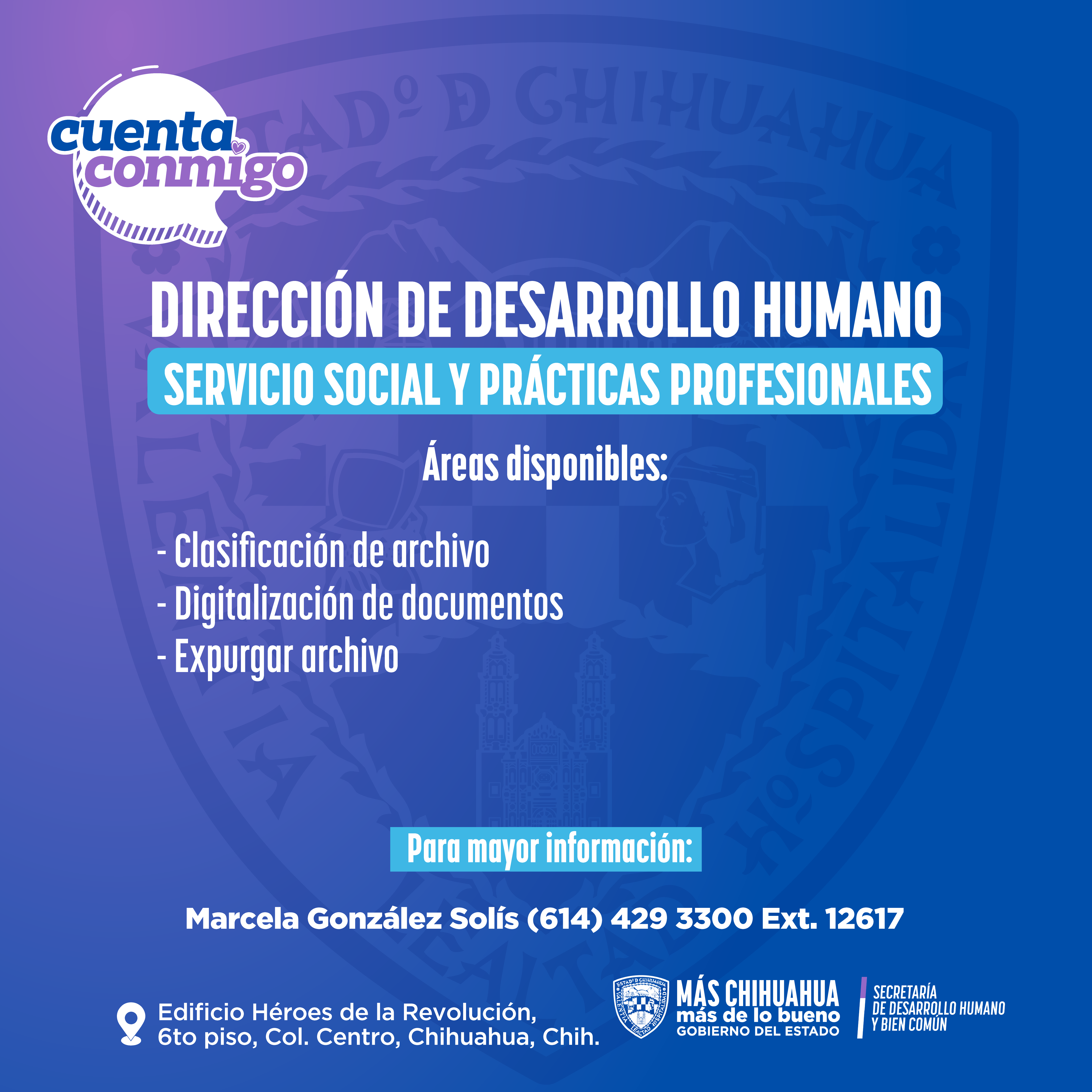 Servicio Social Direccion de Desarrollo Humano