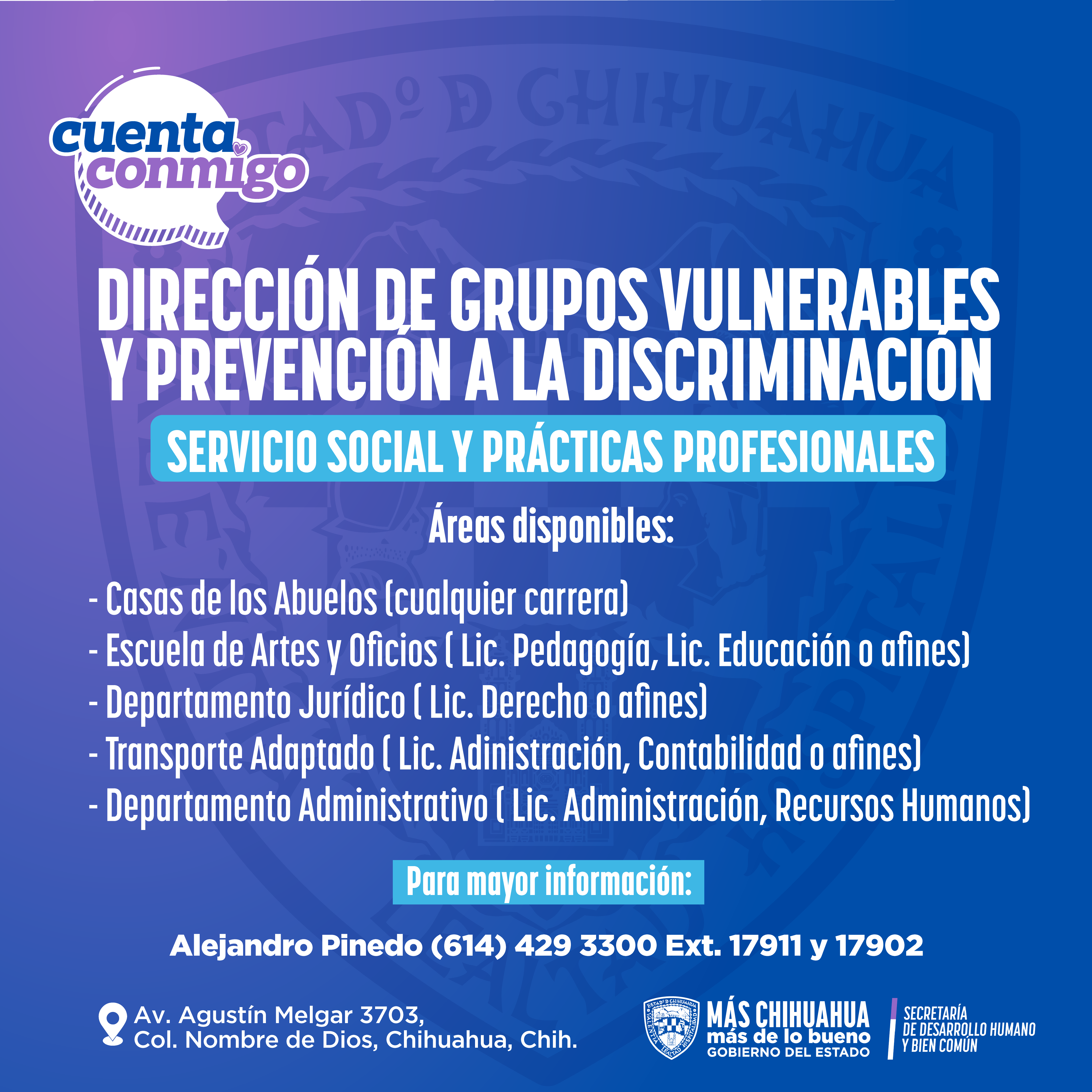 Servicio Social Direccion de Grupos Vulnerables