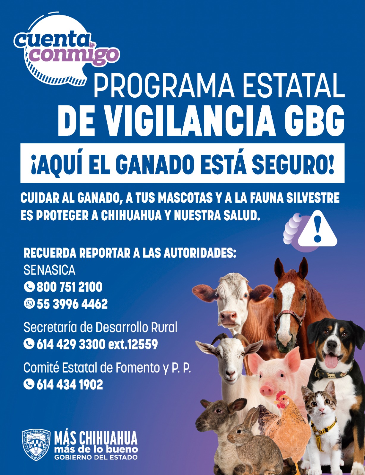 Poster Programa Estatal de Vigilancia Gusano Barrenador del Ganado