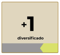 Diversificado 1