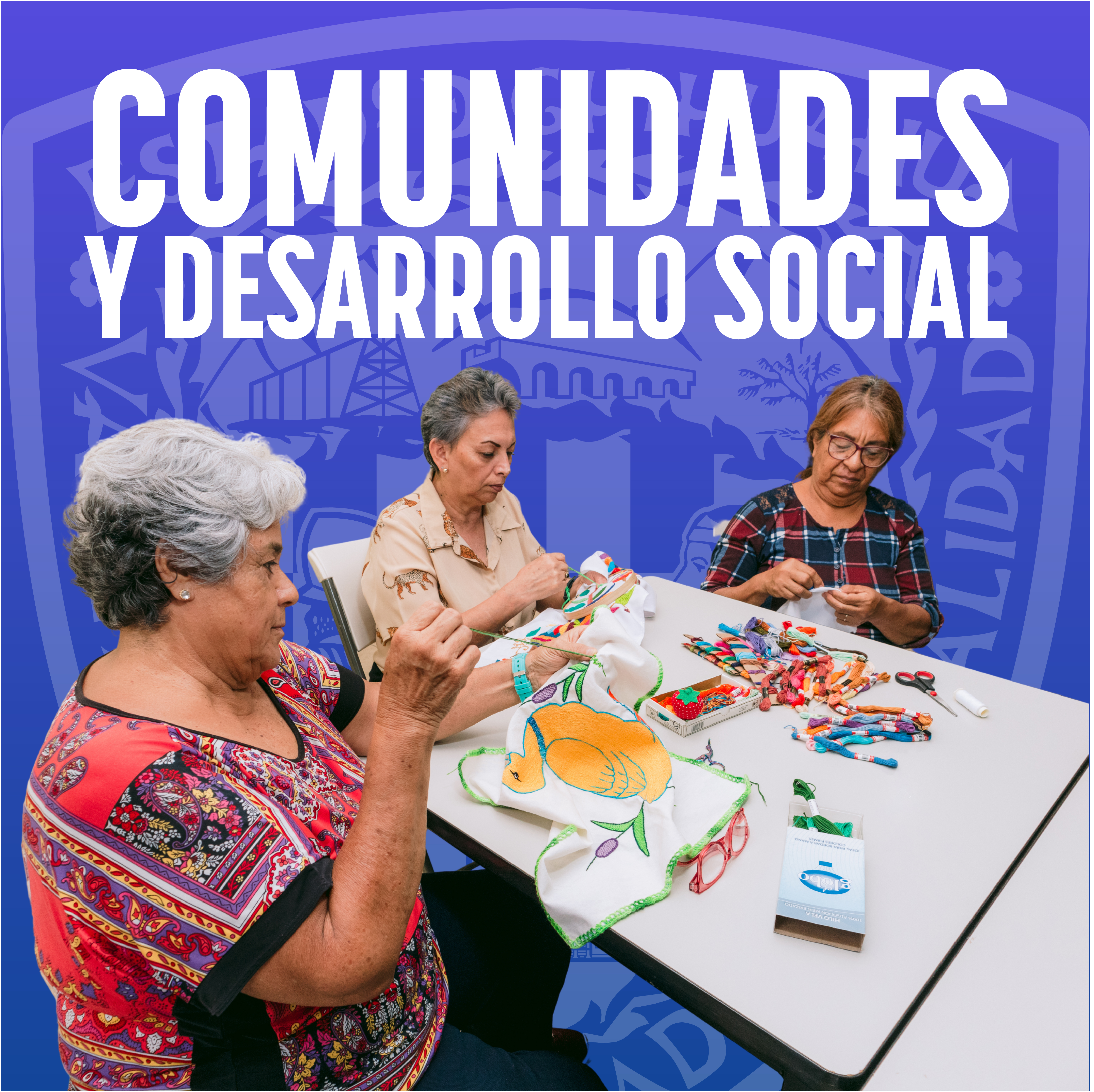 COMUNIDADES Y DESARROLLO SOCIAL