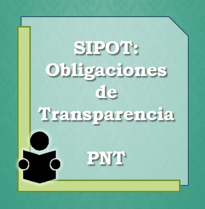 Obligaciones de Transparencia en PNT