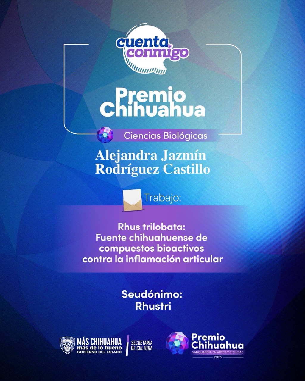 Imagen de galería 4