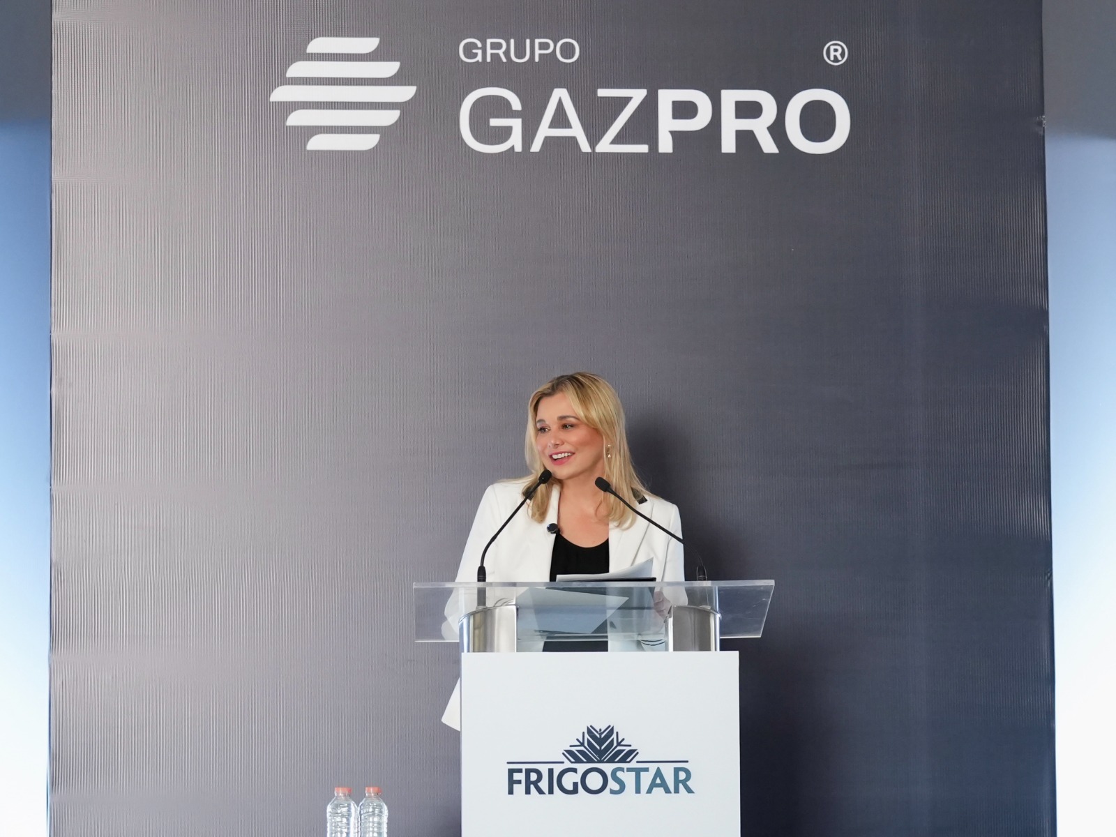 Imagen de galería 1
