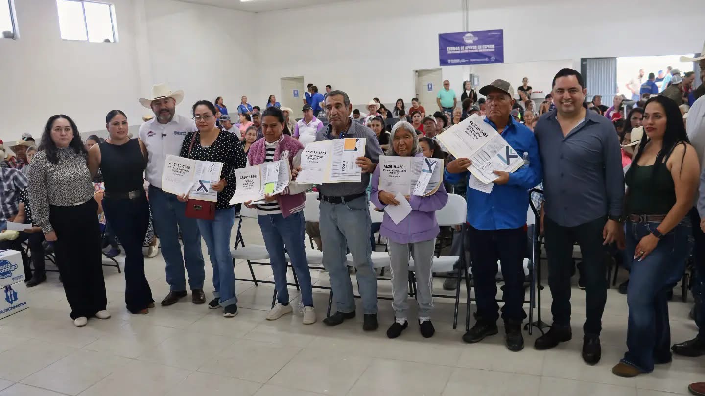 Imagen de galería 5