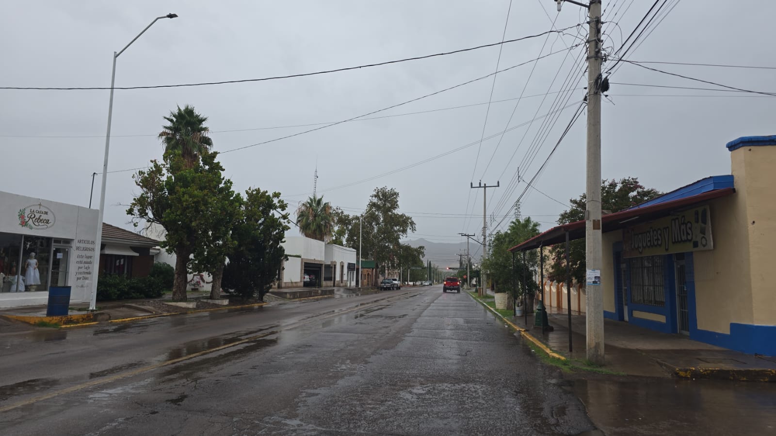 Imagen de galería 3