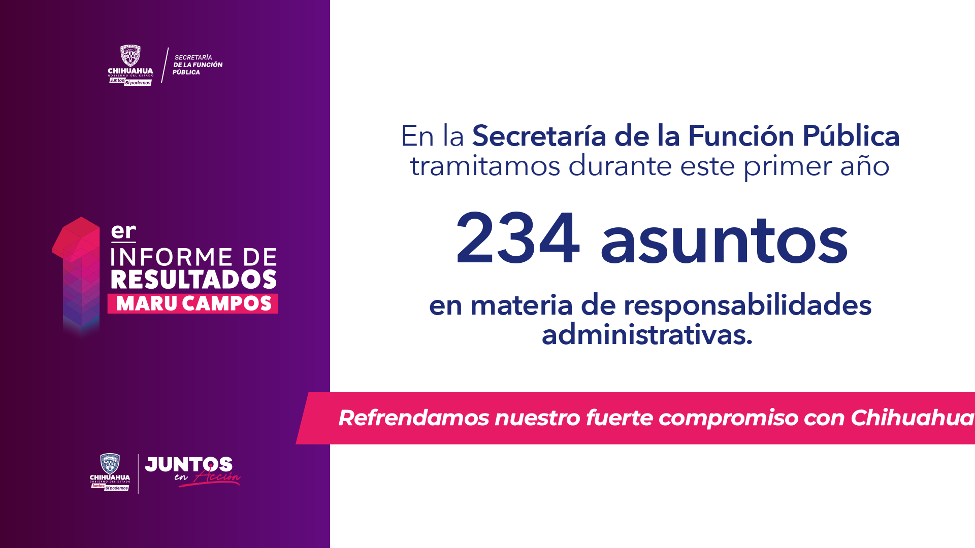 234 Asuntos en materia de responsabilidad administrativas