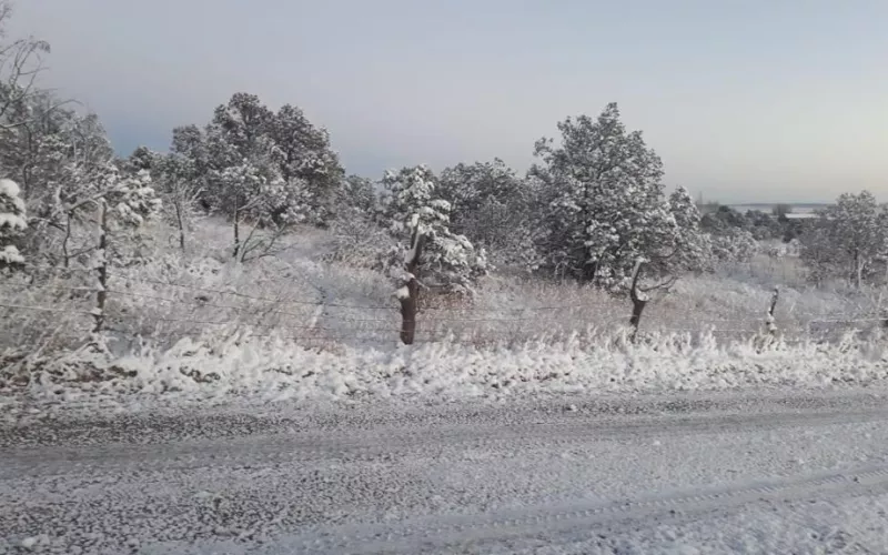 Reporta CEPC presencia de nieve en 15 municipios de la entidad | Portal  Gubernamental del Estado de Chihuahua