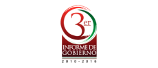 Logo 2013