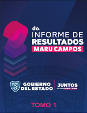 2do Informe de Resultados - Tomo 1
